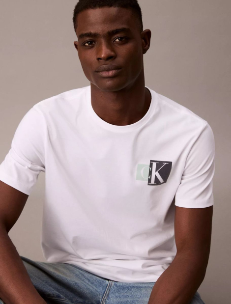 Мужская футболка Calvin Klein с логотипом 1159837527 (Белый XL)