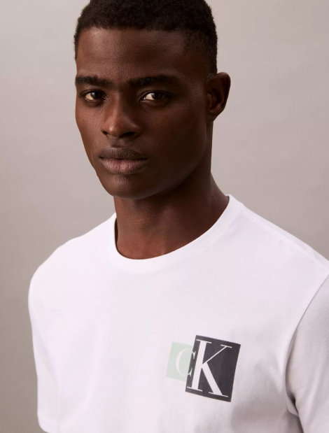 Мужская футболка Calvin Klein с логотипом 1159837527 (Белый XL)