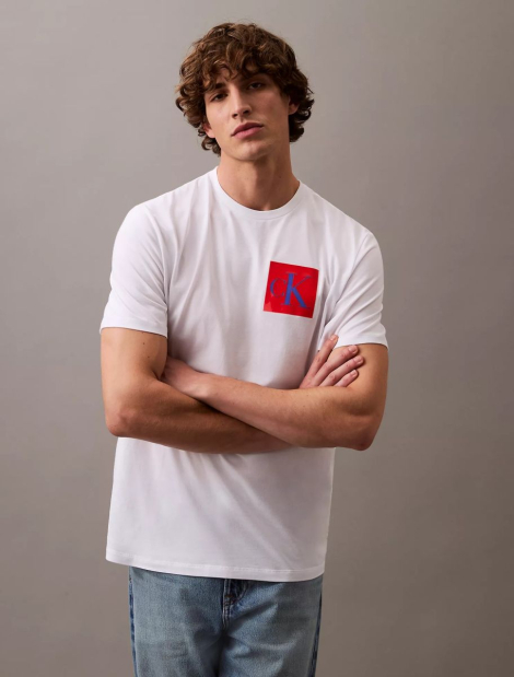 Чоловічі футболки з логотипом Calvin Klein 1159838028 (Білий M)