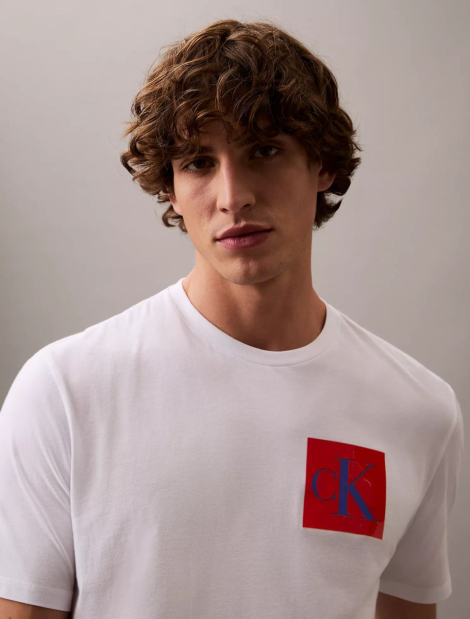 Мужская футболка Calvin Klein с логотипом 1159838028 (Белый M)