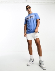 Мужская футболка Karl Lagerfeld Paris с принтом 1159780275 (Синий, M)