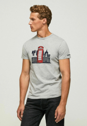 Мужская футболка Pepe Jeans London с принтом 1159786295 (Серый, M)