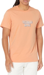 Мужская футболка Guess с логотипом 1159793041 (Оранжевый, L)
