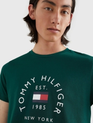 Мужская футболка Tommy Hilfiger с логотипом 1159796190 (Зеленый, 3XL)