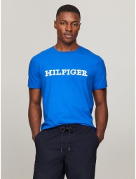 Футболка чоловіча Tommy Hilfiger з вишивкою 1159809939 (Білий/синій, M)