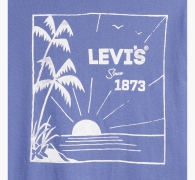 Футболка чоловіча Levi's з принтом 1159812536 (Білий/синій, M)