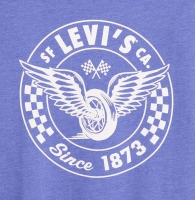 Футболка мужская Levi's с принтом 1159819110 (Синий L)