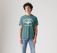 Футболка мужская Levi's с принтом 1159820714 (Зеленый M)