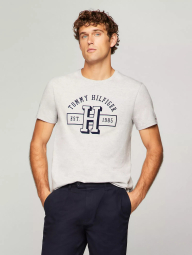 Футболка мужская Tommy Hilfiger с логотипом 1159832909 (Серый XXL)