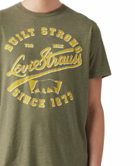 Футболка чоловіча Levi's з принтом 1159837924 (Зелений M)