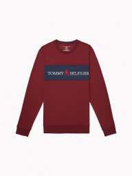 Лонгслив мужской Tommy Hilfiger кофта с логотипом 1159770078 (Бордовый, L)