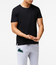 Набор фирменных мужских футболок Lacoste 1159785757 (Черный, XS)