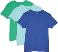 Набор мужских футболок Polo Ralph Lauren 1159797708 (Разные цвета, L)