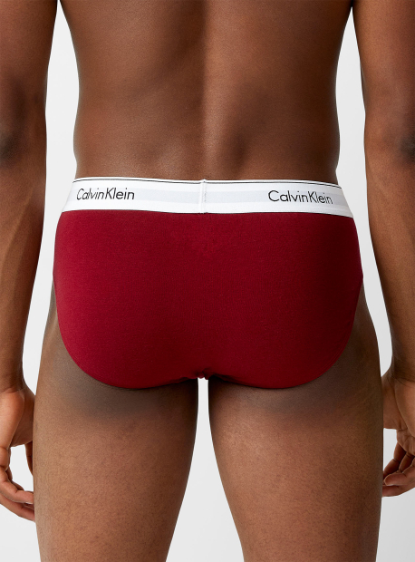 Фирменные мужские трусы брифы Calvin Klein набор 1159775742 (Разные цвета, M)