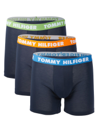 Фирменные мужские трусы боксеры Tommy Hilfiger набор 1159789357 (Синий, S)