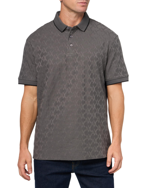Футболка-поло Armani Exchange з принтом 1159835520 (Сірий S)