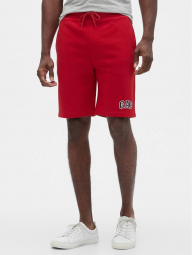 Спортивные мужские шорты GAP art427467 (Красный, размер S)