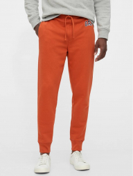 Чоловічі штани джоггеры GAP art434842 (Темно-оранжевий, розмір XL)