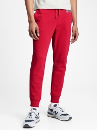 Мужские брюки джоггеры GAP спортивные штаны art719368 (Красный, размер L)