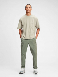 Мужские штаны GAP легкие брюки 1159762205 (Зеленый, XXL)