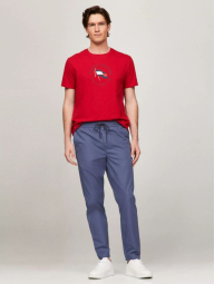 Мужские штаны Tommy Hilfiger на завязках 1159832363 (Синий XXL)