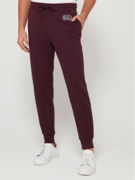 Мужские штаны джоггеры GAP art914971 (Бордовый, размер XS)