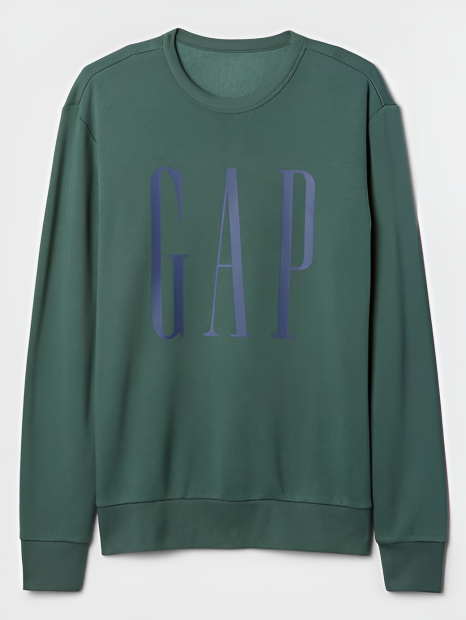 Чоловічий спортивний костюм GAP фліс 1159836865 (Зелений L)