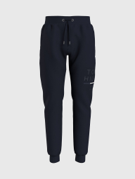Мужские штаны Tommy Hilfiger спортивные джоггеры 1159777026 (Синий, 3XL)