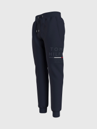 Мужские штаны Tommy Hilfiger спортивные джоггеры 1159777026 (Синий, 3XL)