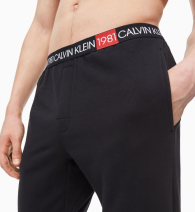 Мужские спортивные штаны Calvin Klein с логотипом 1159780236 (Черный, L)