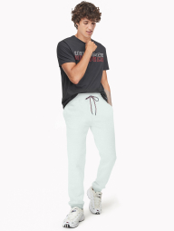 Мужские джоггеры Tommy Hilfiger спортивные штаны 1159782130 (Серый, L)