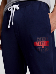 Чоловічі штани Tommy Hilfiger спортивні штани