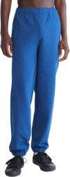 Мужские джоггеры Calvin Klein спортивные штаны 1159788258 (Синий, XXL)