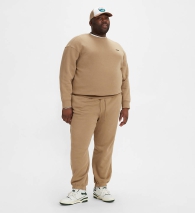 Мужские джоггеры Levi's спортивные штаны 1159822458 (Бежевый 3XL)