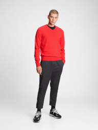 Мужской свитер GAP мягкий 1159769365 (Красный, M)