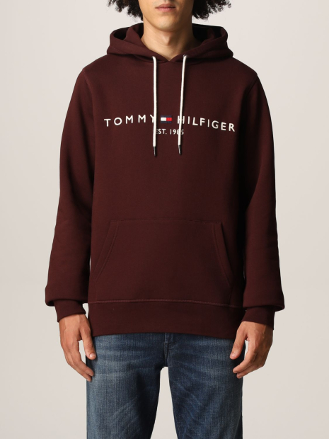 Чоловіче худі Tommy Hilfiger кофта з капюшоном толстовка