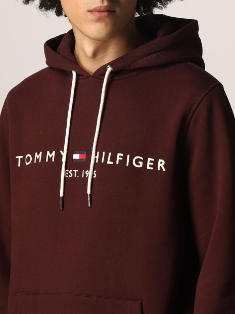 Чоловіче худі Tomy Hilfiger кофта з капюшоном товстування