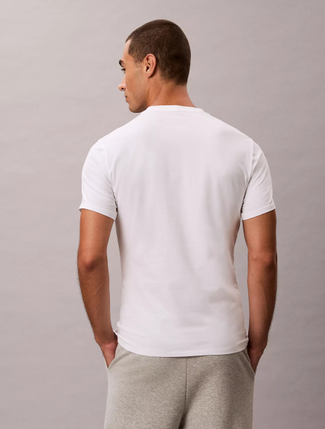 Набор мужских футболок Calvin Klein 3 шт 1159846553 (Разные цвета M)