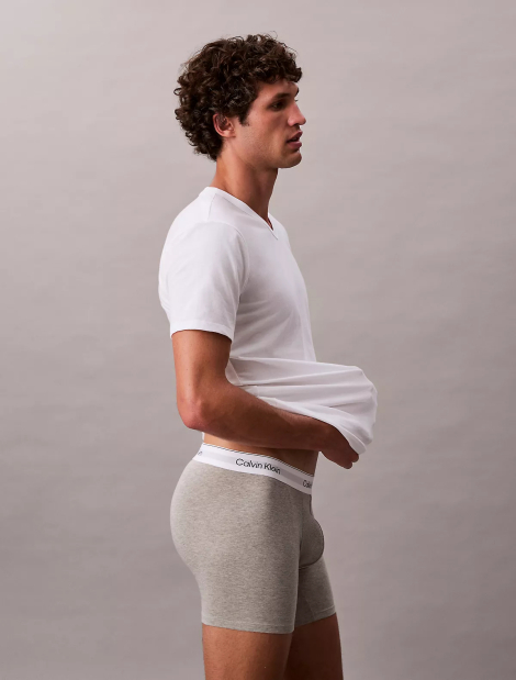 Набор мужских футболок Calvin Klein 3 шт 1159846558 (Разные цвета L)