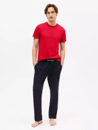 Набор мужских футболок Tommy Hilfiger 1159841224 (Разные цвета M)