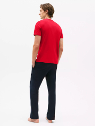 Набор мужских футболок Tommy Hilfiger 1159841224 (Разные цвета M)