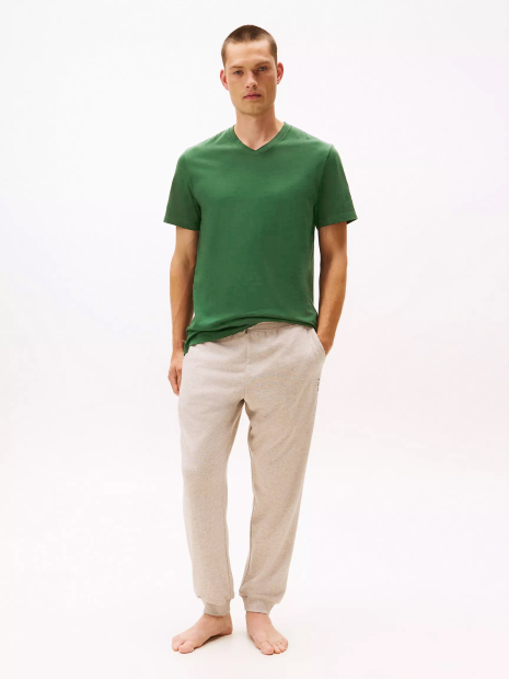 Набор мужских футболок Tommy Hilfiger 1159850033 (Разные цвета M)