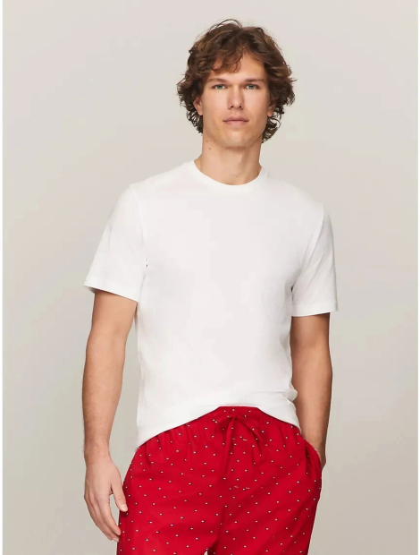 Набор мужских футболок Tommy Hilfiger 1159850321 (Разные цвета M)