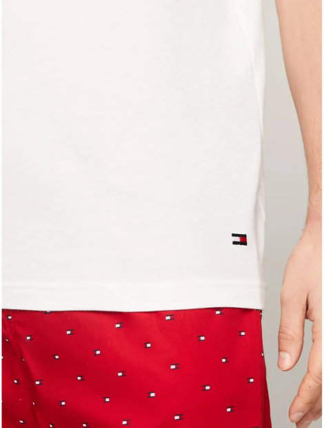 Набор мужских футболок Tommy Hilfiger 1159850321 (Разные цвета M)