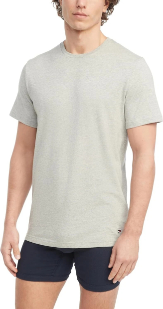 Набор мужских футболок Tommy Hilfiger 1159850321 (Разные цвета M)