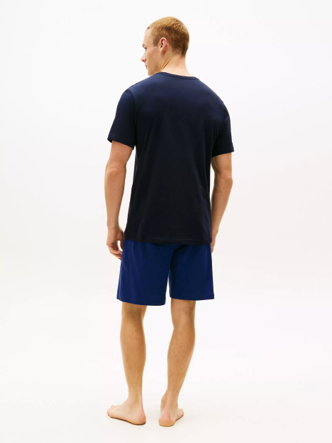 Набор мужских футболок Tommy Hilfiger 1163326724 (Разные цвета M)