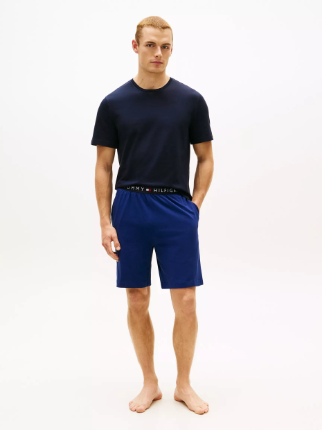 Набор мужских футболок Tommy Hilfiger 1163326724 (Разные цвета M)