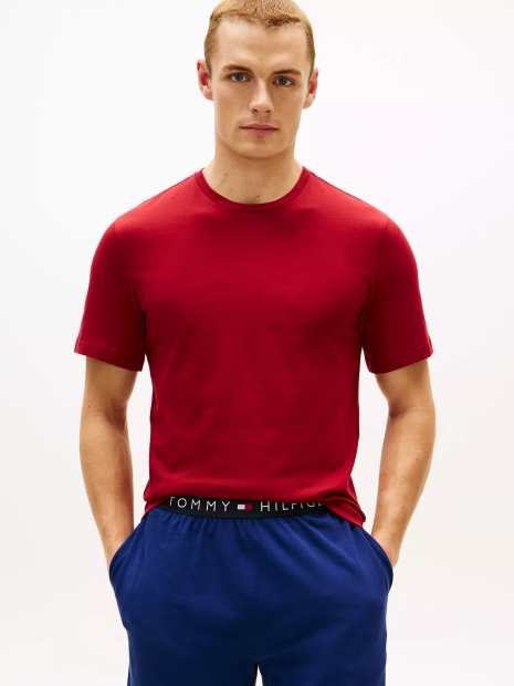 Набор мужских футболок Tommy Hilfiger 1163326724 (Разные цвета M)