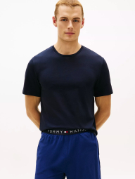 Набор мужских футболок Tommy Hilfiger 1163326724 (Разные цвета M)