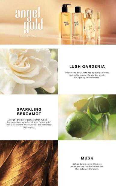 Парфюмированная вода Victoria's Secret Angel Gold 1159838157 (Белый 100 ml)